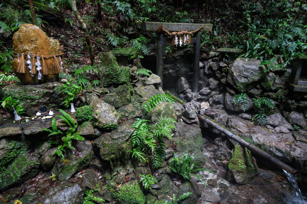 Mossy rocks, ferns and a small torii at Ama no Iwato in Erihara, Shima, Mie Prefecture