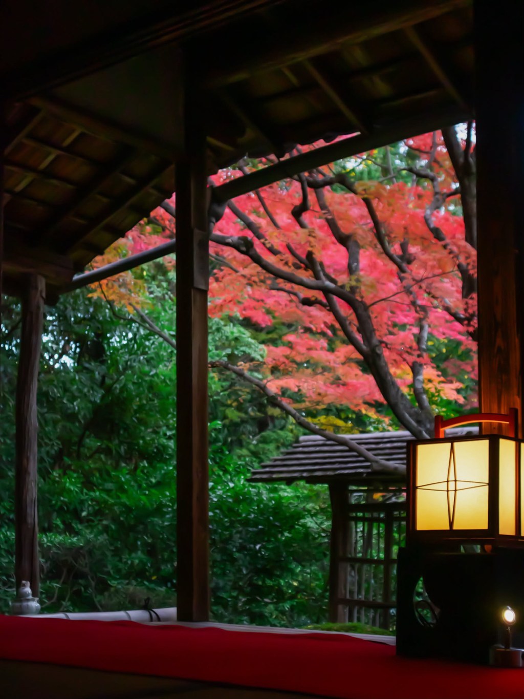Autumn maple leaves and a glowing lantern beside the veranda at Keishun-in, Kyoto