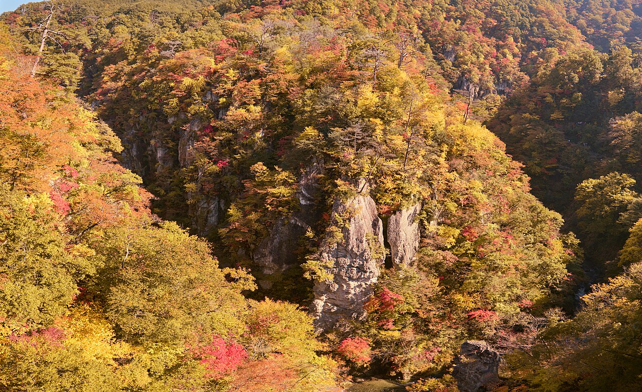 2025年10月30日に撮影された鳴子峡の岩壁と紅葉の実写写真