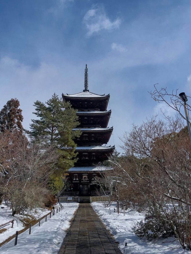 歴史